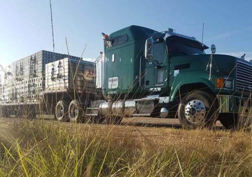 3 green Trailer Transit Inc., truck with a load