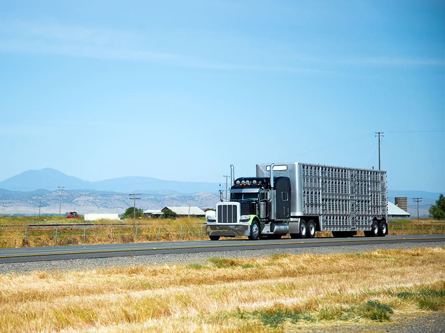 TT-BlogImage-0623-ArticleImages-4 truck on the road