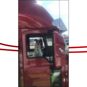 Trailer Transit Inc. | A red semi-truck cab with a dog looking intently out the passenger window.