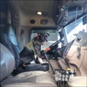 Trailer Transit Inc. | A dog sitting in the driver's seat of a truck cabin.