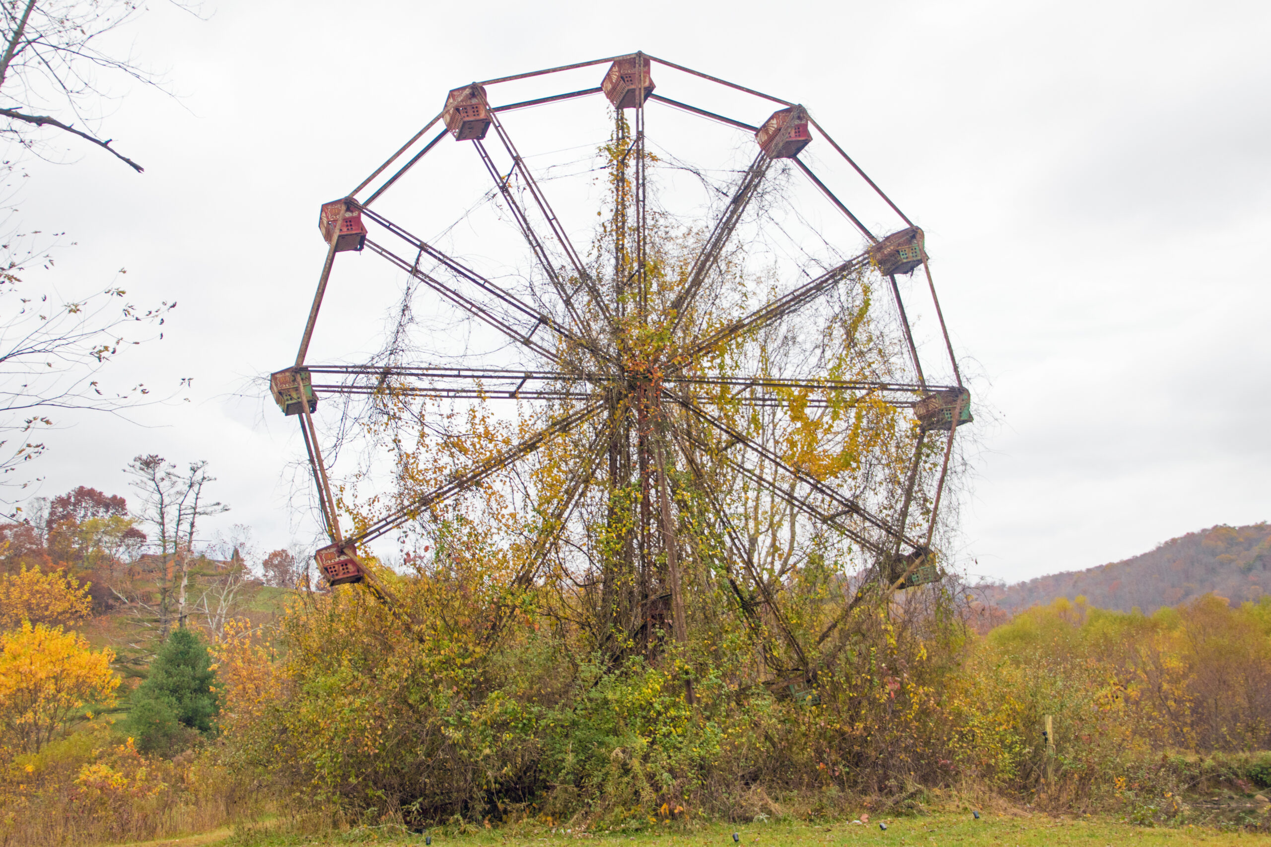 Trailer Transit Inc. | Abandoned and overgrown Ferris wheel at Shawnee Lake Abandoned Amusement Park, Rock, West Virginia