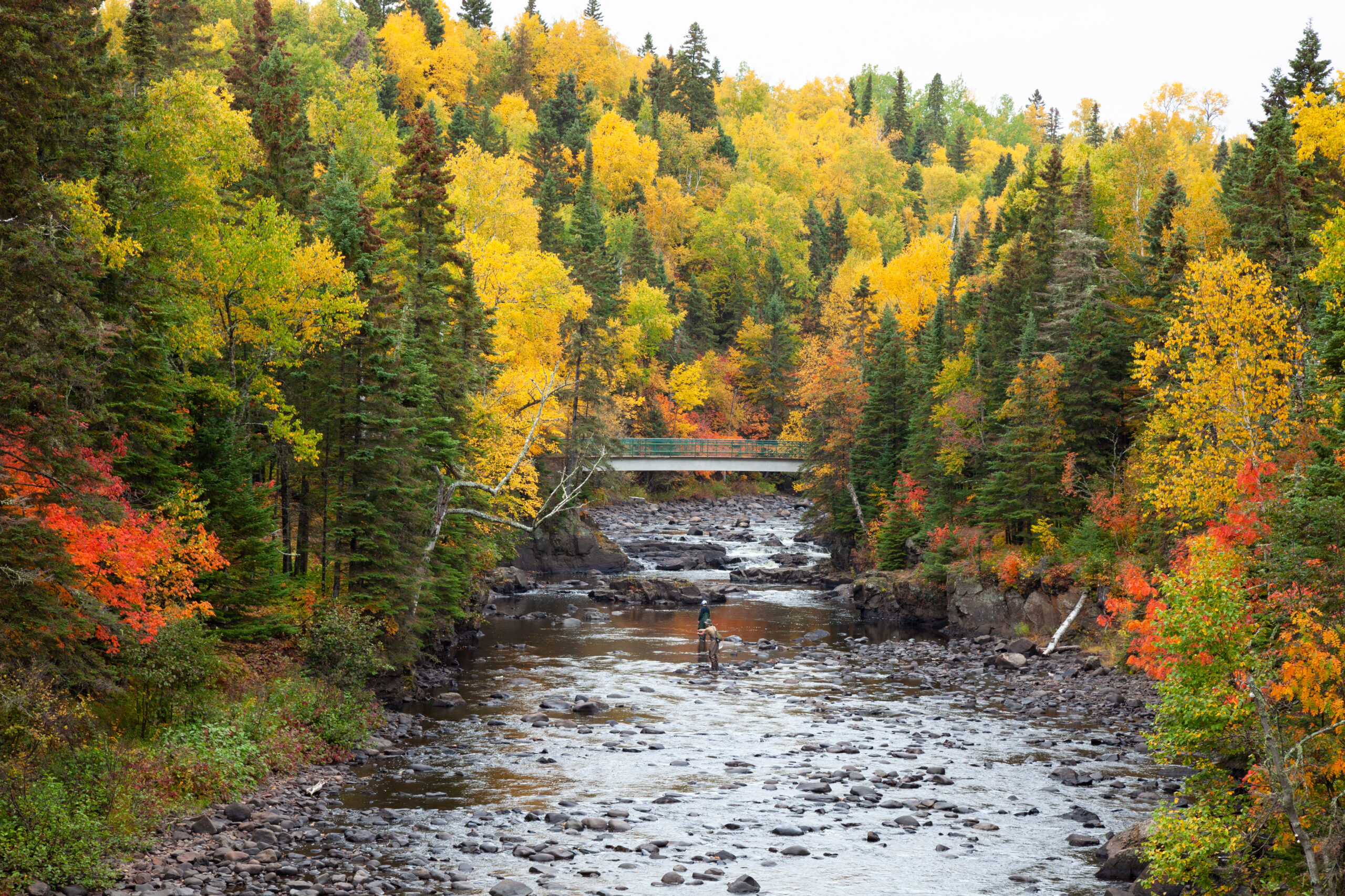 Trailer Transit Inc. | Fly fishermen fish trout on the Brule River in northern Minnesota on a beautiful autumn day