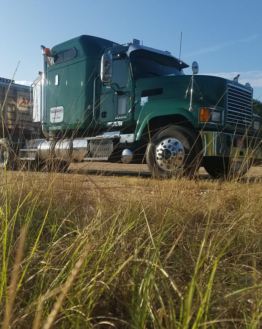 Trailer Transit, Inc. | A green semi-truck is parked on a dirt area, viewed from a low angle behind tall grass, with a clear sky in the background.