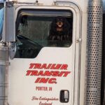 Trailer Transit, Inc. | A dog wearing sunglasses sits in the driver's seat of a parked semi truck labeled "Trailer Transit Inc.