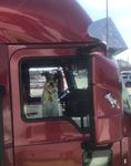Trailer Transit, Inc. | A small dog sits in the driver's seat of a red semi-truck, looking out the window.