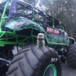 Trailer Transit, Inc. | A small dog sits on the large tire of a green and purple monster truck parked outdoors near trees.